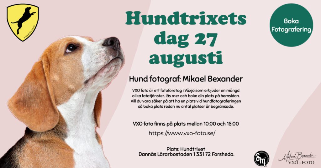 Vxo Foto på hundtrixets dag 27 augusti